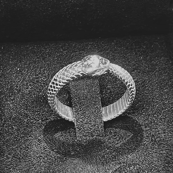 Ouroboros Snake - Simple Sterling Silver Ring - Picture 2 of 3